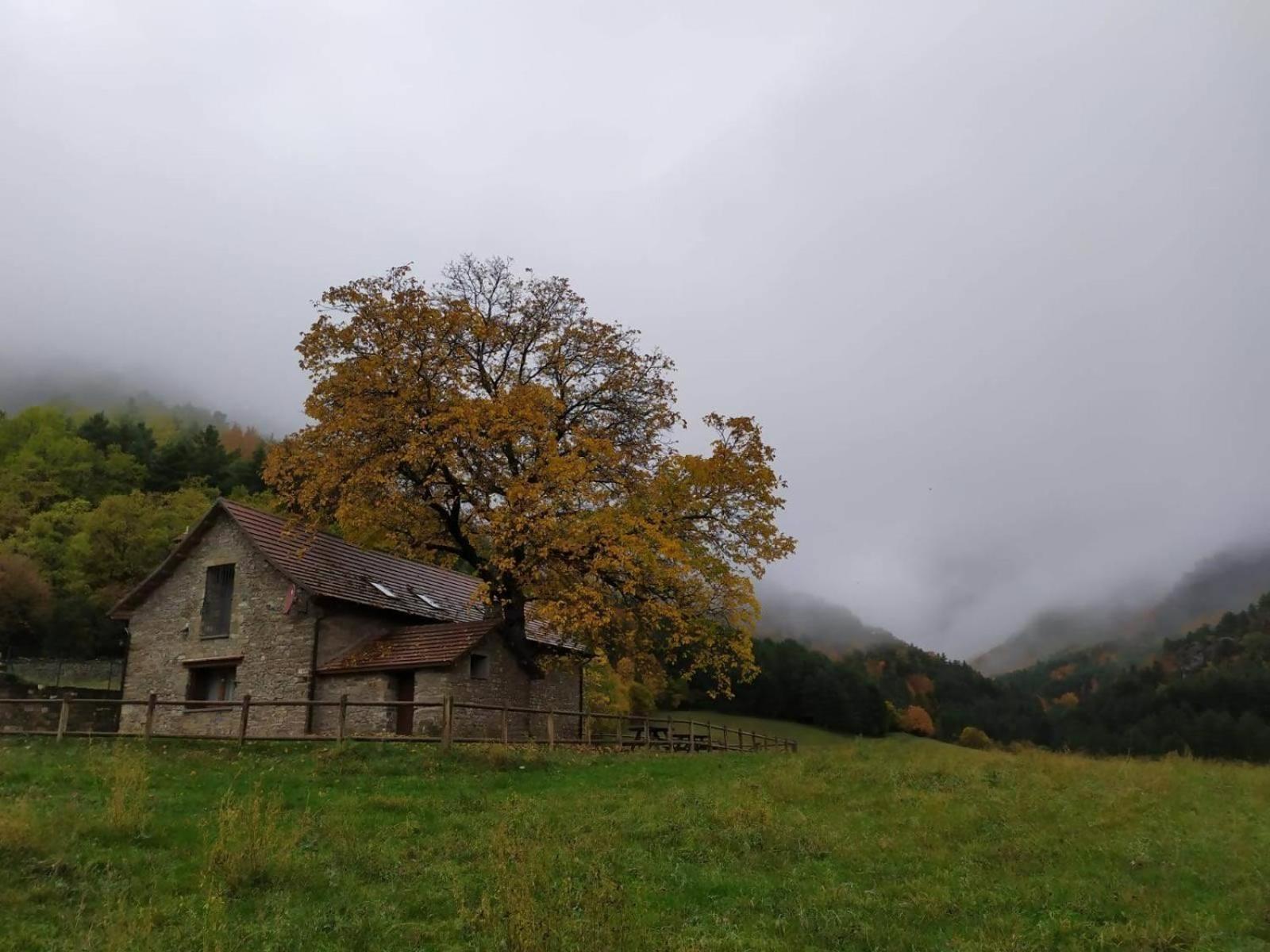 Borda Batista Country house *