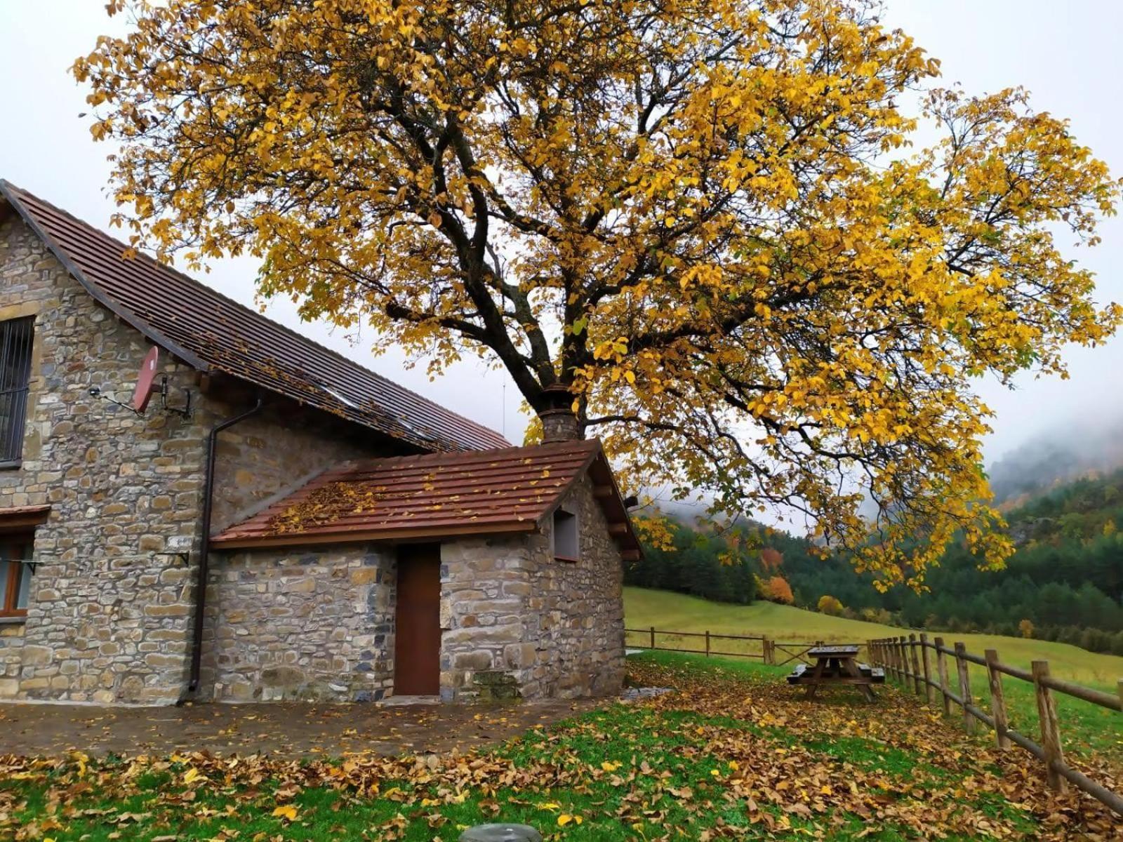 Country house Borda Batista
